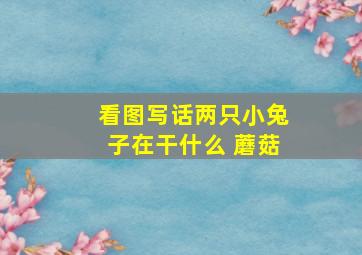 看图写话两只小兔子在干什么 蘑菇